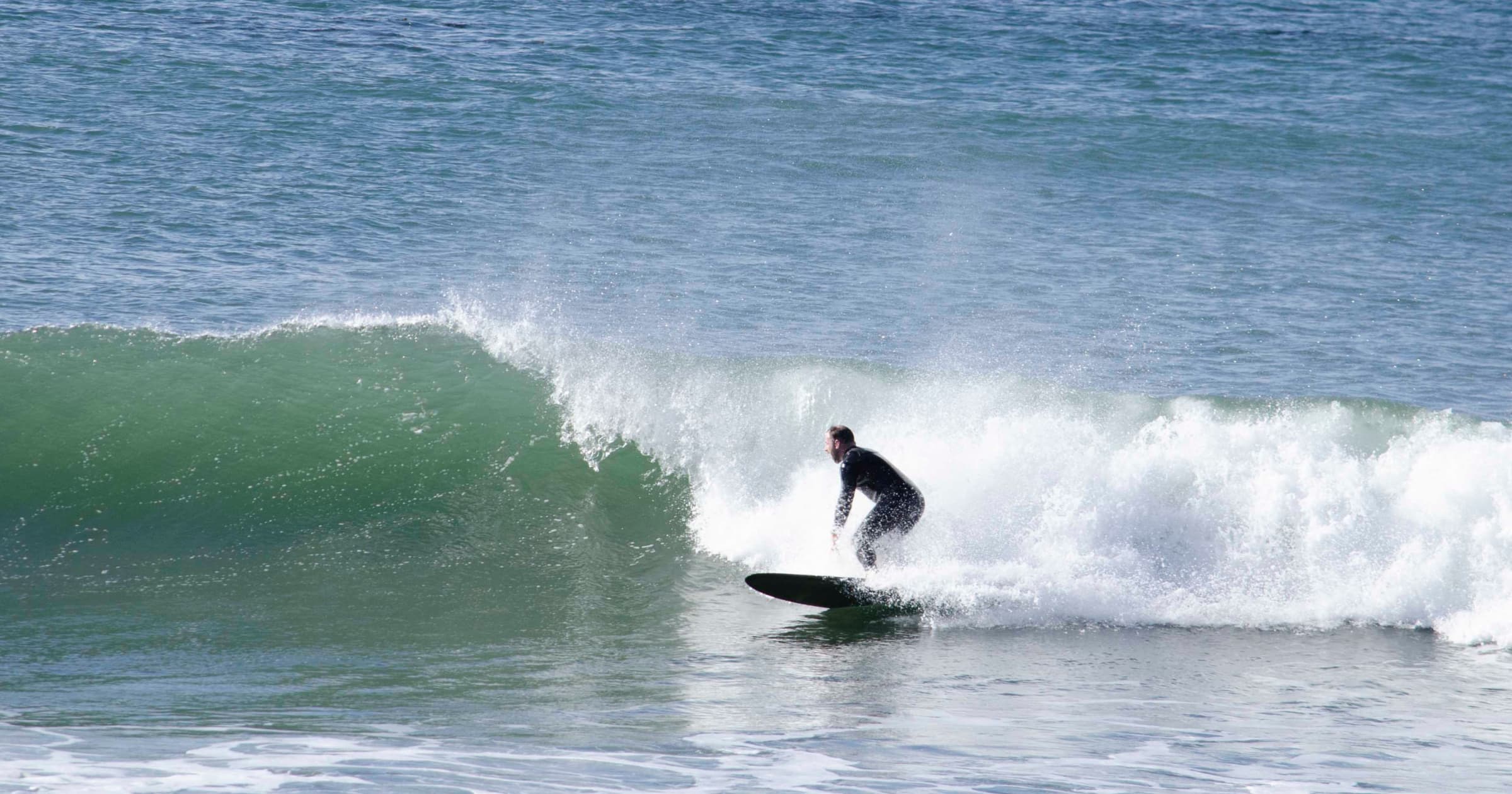 Baja California, Winter 2023